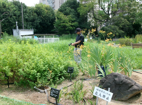 京都　生物多様性エリア